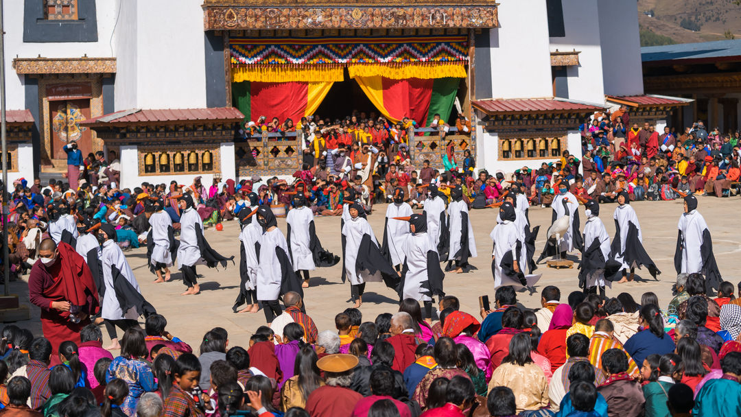 Black-necked crane festival