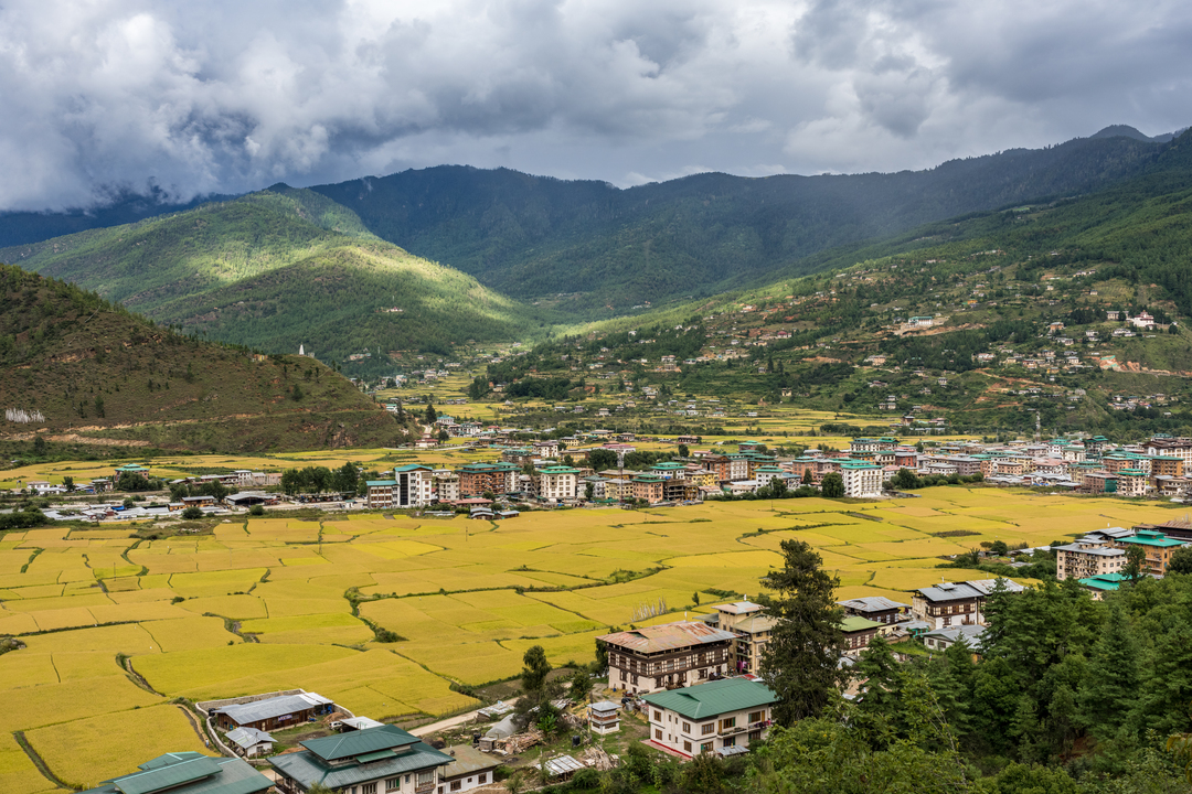 Paro