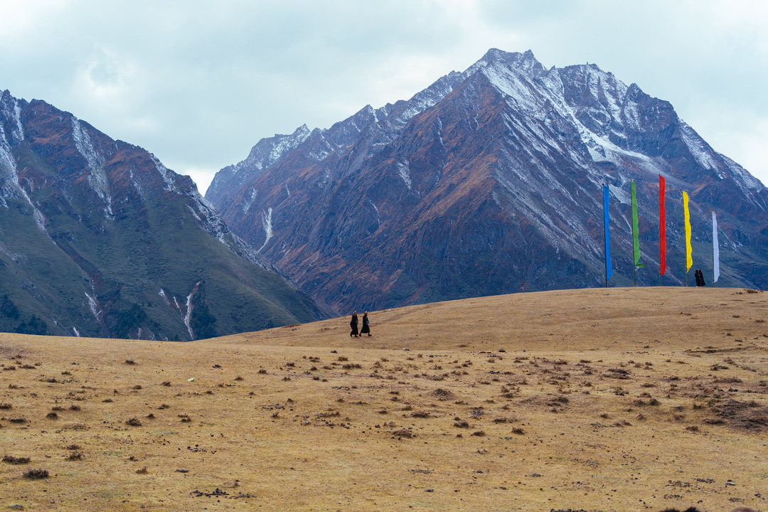 Laya gasa Trek