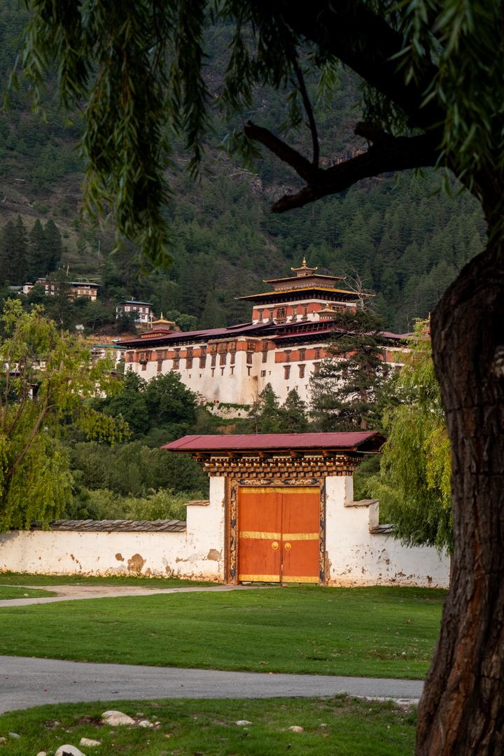 Paro